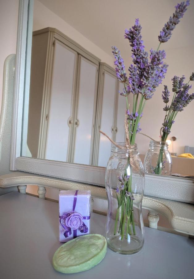 Apartment Soline Pjescana Uvala Luaran gambar